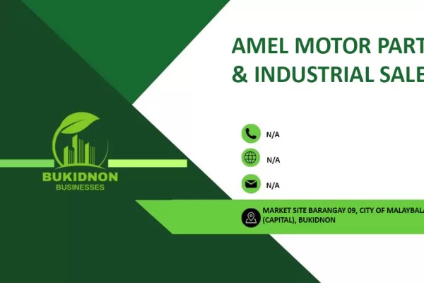 AMEL MOTOR PARTS & INDUSTRIAL SALES