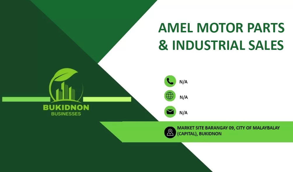 AMEL MOTOR PARTS & INDUSTRIAL SALES