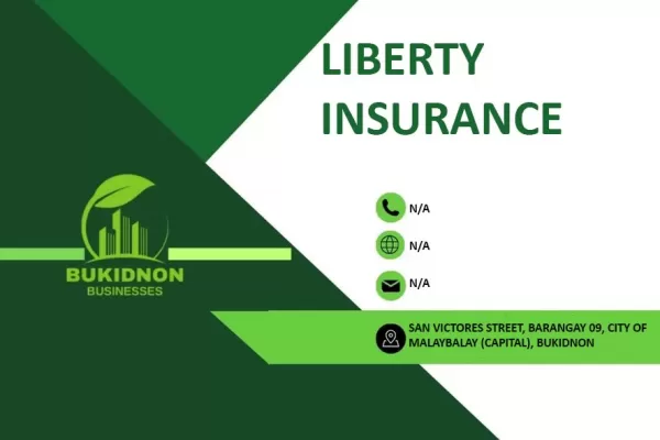 LIBERTY INSURANCE