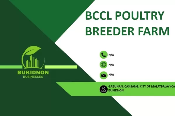 BCCL POULTRY BREEDER FARM
